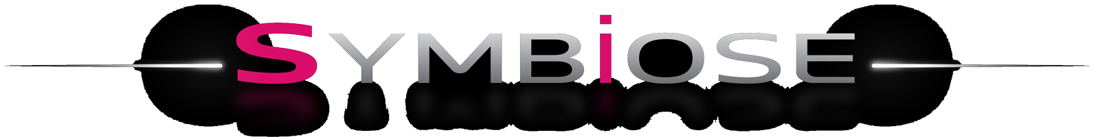 Symbiose aménagement